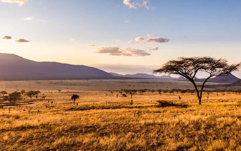 Agricultura no Cerrado pode servir de modelo às savanas africanas