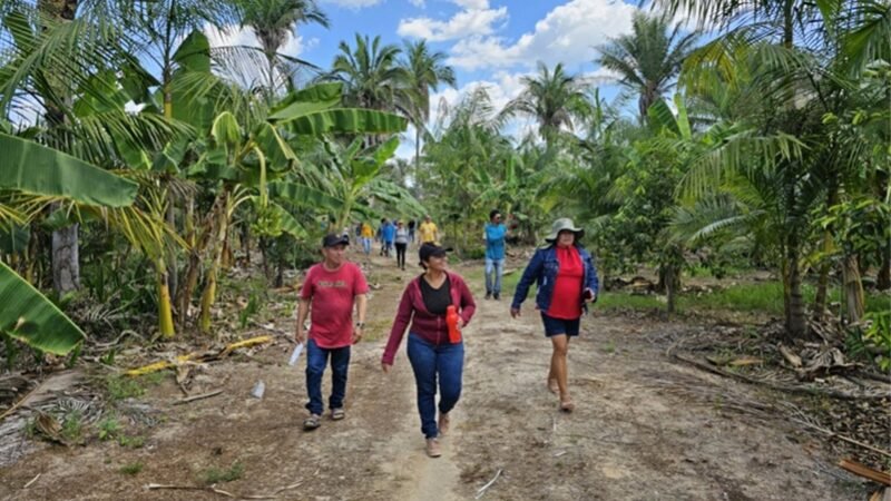 Edital de R$ 3,3 milhões para projetos na Amazônia e Cerrado