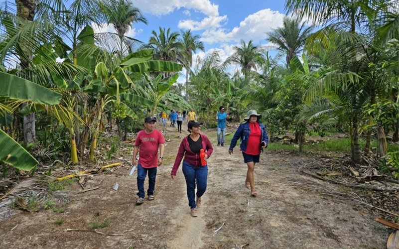 Edital de R$ 3,3 milhões para projetos na Amazônia e Cerrado