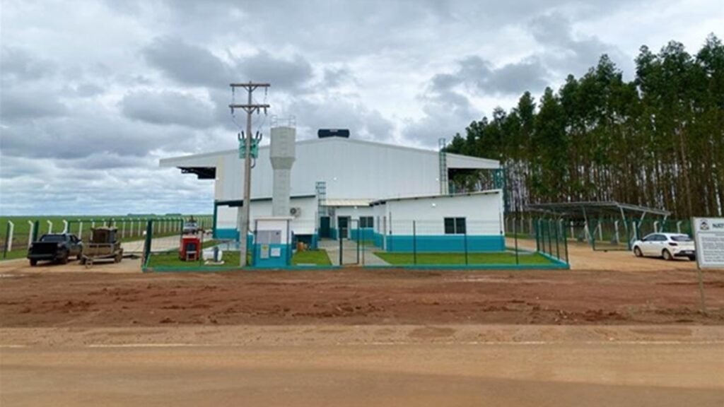 Dia do Campo Limpo reúne 223 ações em 21 estados