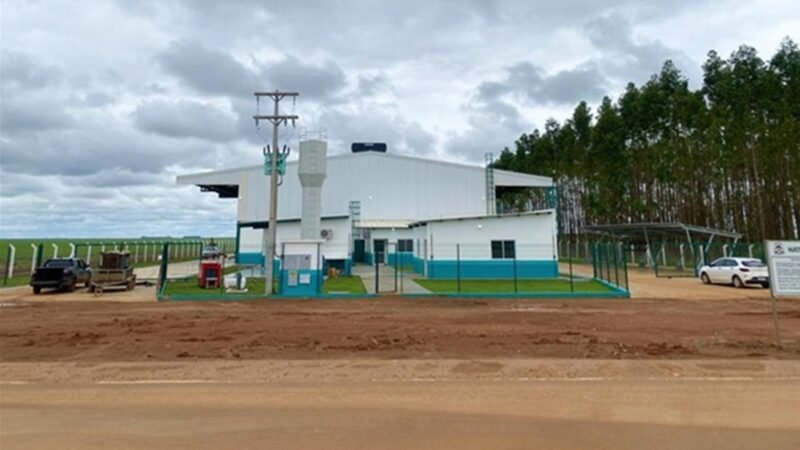 Dia do Campo Limpo reúne 223 ações em 21 estados