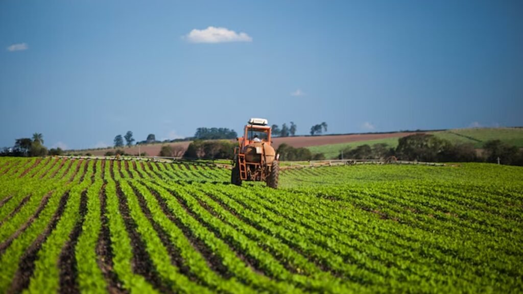 Safra recorde: Brasil deve colher 353 milhões de toneladas