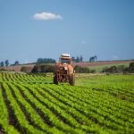 Safra recorde: Brasil deve colher 353 milhões de toneladas