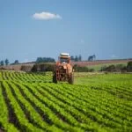 Embrapa orienta setor agropecuário para o El Niño 2026/2027