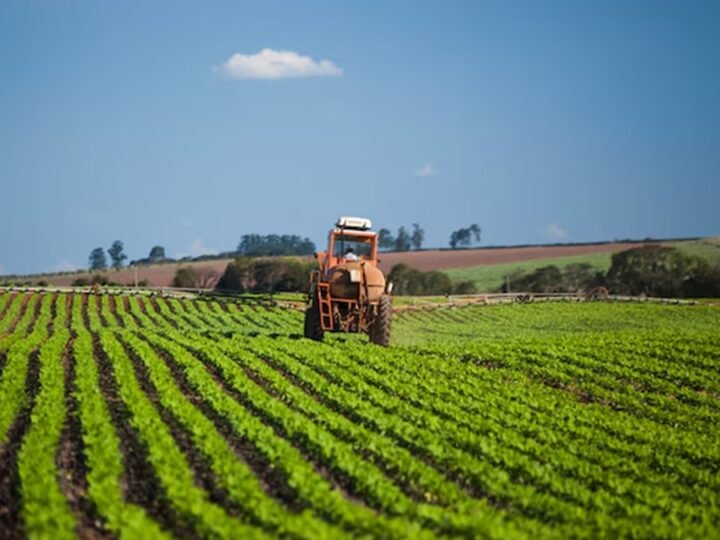 Safra recorde: Brasil deve colher 353 milhões de toneladas