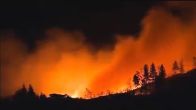 Incêndios florestais obrigam a evacuação na Alemanha