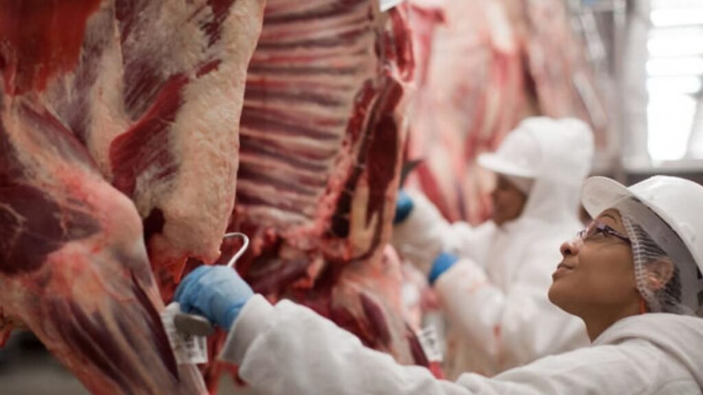 Noruega avisou que vai suspender compra de carne