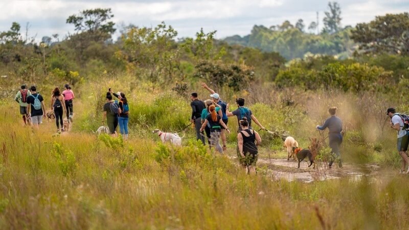 “Brasília, Capital dos Pets” destaca o DF na causa animal