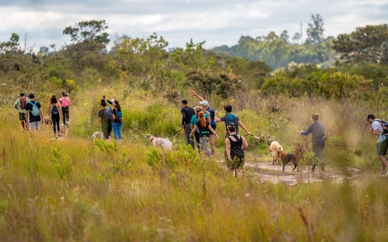 “Brasília, Capital dos Pets” destaca o DF na causa animal