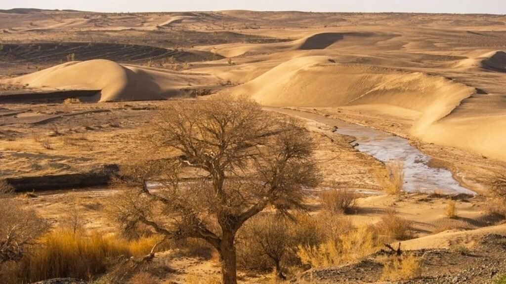 COP17 na Mongólia: compromisso de investimento verde