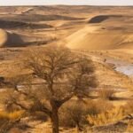 COP17 na Mongólia: compromisso de investimento verde