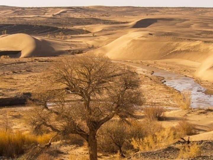 COP17 na Mongólia: compromisso de investimento verde