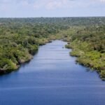 BNDES aprova R$ 200 milhões para restauração na Amazônia