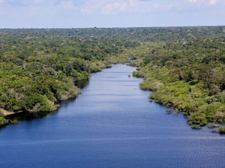 BNDES aprova R$ 200 milhões para restauração na Amazônia