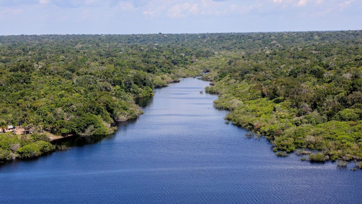 Amazônia rio florestas água natureza ambiente Misto Brasil