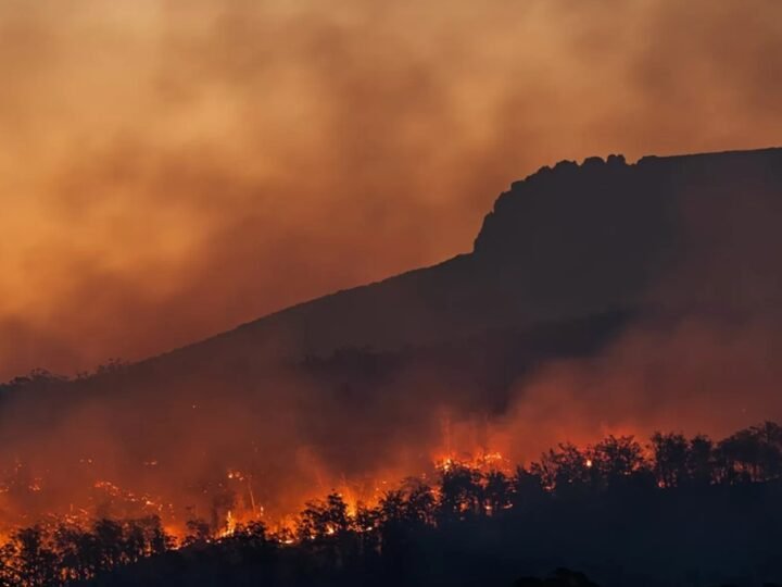 Mudanças climáticas afetam também o nosso bolso
