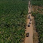 Expedição Valtra destaca mecanização na bananicultura na Bahia