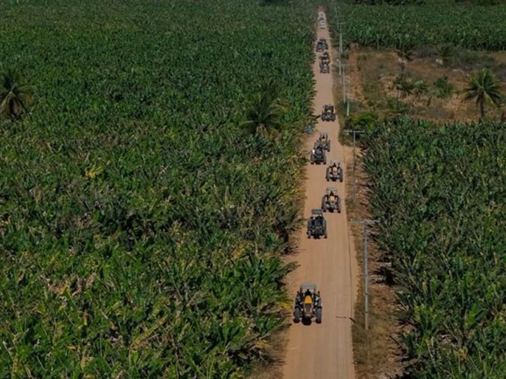 Expedição Valtra destaca mecanização na bananicultura na Bahia