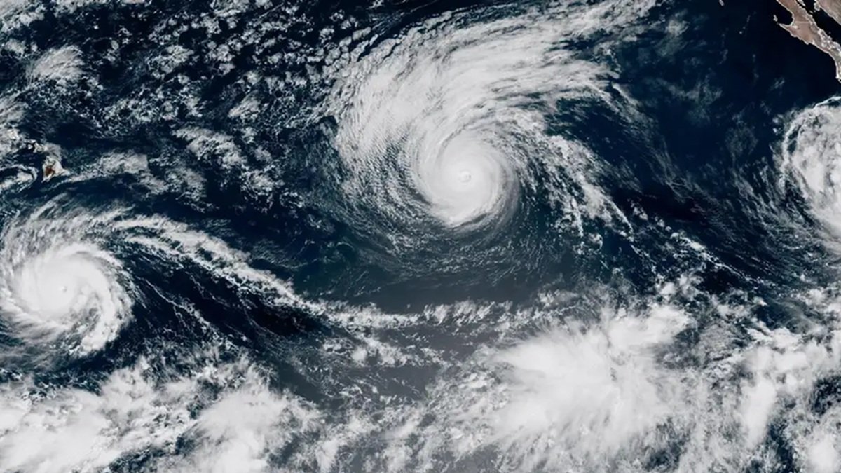Fucarões Oceano Pacífico Misto Brasil