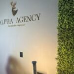 Assessoria Alpha diversifica atuação e projeta R$ 100 milhões
