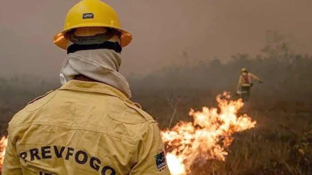 Queimadas no Amazonas disparam aós o primeiro turno